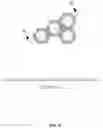Fig. 10 - Polygonal Communities