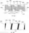 Fig. 34 - Variable thermal insulation assembly