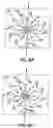 Fig. 10 - TURBINE ENGINE SYSTEM