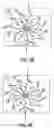 Fig. 12 - TURBINE ENGINE SYSTEM