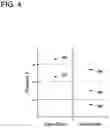 Fig. 04 - Vapor fuel processing device
