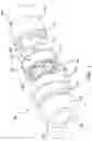 Fig. 02 - Flexible reinforced radial spline coupling and method