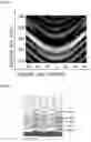 Fig. 05 - Apparatus and method for multilayer thin film thickness measurement using single-shot angle-resolved spectral reflectometry