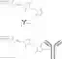 Fig. 131 - POLYMERIC DYES HAVING A BACKBONE COMPRISING ORGANOPHOSPHATE UNITS