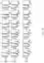 Fig. 20 - POLYMERIC DYES HAVING A BACKBONE COMPRISING ORGANOPHOSPHATE UNITS