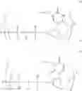 Fig. 33 - POLYMERIC DYES HAVING A BACKBONE COMPRISING ORGANOPHOSPHATE UNITS