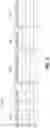 Fig. 07 - System for generating predicate-weighted histograms