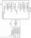 Fig. 04 - System and method for separation and classification of unstructured documents