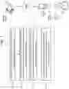 Fig. 02 - Synthetic speech processing