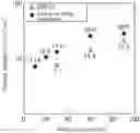 Fig. 01 - SUBSTRATE FOR COMPOSITE MEMBRANE
