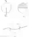 Fig. 02 - Cord restraint for electrical cords