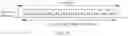 Fig. 09 - Data transmission method, apparatus, and system