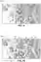 Fig. 08 - Method and apparatus for qualifying customers and designing a fixed wireless network using mapping data