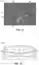 Fig. 09 - Method and apparatus for qualifying customers and designing a fixed wireless network using mapping data