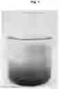 Fig. 02 - PROCESSED PRODUCT OF TEA IN THE FORM OF PARTICLES