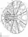 Fig. 02 - In vivo tissue engineering devices, methods and regenerative and cellular medicine employing scaffolds made of absorbable material