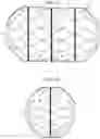 Fig. 12 - In vivo tissue engineering devices, methods and regenerative and cellular medicine employing scaffolds made of absorbable material