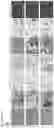 Fig. 06 - Inositol derivatives for use in pathological crystallization