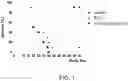 Fig. 02 - Sting agonists for treating bladder cancer and solid tumors