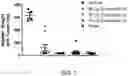 Fig. 06 - Sting agonists for treating bladder cancer and solid tumors
