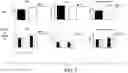 Fig. 08 - Sting agonists for treating bladder cancer and solid tumors