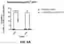Fig. 07 - Compositions and methods for inducing immune responses