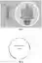 Fig. 02 - Bacteriophage-based vaccines and engineered bacteriophage