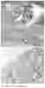 Fig. 06 - ENGINEERED RECEPTOR/LIGAND SYSTEM FOR DELIVERY OF THERAPEUTIC AGENTS