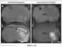 Fig. 07 - ENGINEERED RECEPTOR/LIGAND SYSTEM FOR DELIVERY OF THERAPEUTIC AGENTS