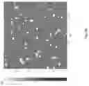 Fig. 09 - Peptidic blocks for nucleic acid delivery