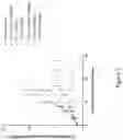 Fig. 02 - RADIOIMMUNOCONJUGATES AND CHECKPOINT INHIBITOR COMBINATION THERAPY