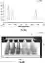Fig. 63 - Illumination devices for inducing biological effects