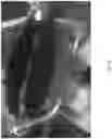 Fig. 20 - Protective rowing device