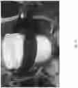 Fig. 21 - Protective rowing device