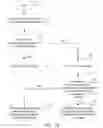 Fig. 11 - Method, apparatus, device, and storage medium for perspective rotation