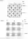 Fig. 08 - Honeycomb filter