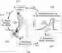 Fig. 01 - Open-loop control for exoskeleton motor