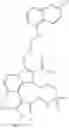 Fig. 294 - Macrocyclic indole derivatives