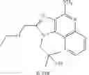Fig. 04 - Immunotherapeutic tumor treatment method