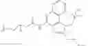 Fig. 09 - Immunotherapeutic tumor treatment method