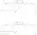 Fig. 13 - Immunotherapeutic tumor treatment method