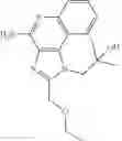 Fig. 15 - Immunotherapeutic tumor treatment method