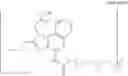 Fig. 25 - Immunotherapeutic tumor treatment method