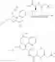 Fig. 38 - Immunotherapeutic tumor treatment method