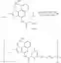 Fig. 40 - Immunotherapeutic tumor treatment method