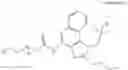Fig. 44 - Immunotherapeutic tumor treatment method