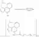 Fig. 51 - Immunotherapeutic tumor treatment method
