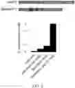 Fig. 04 - Methods and compositions for directed genome editing