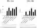 Fig. 10 - Methods and compositions for directed genome editing