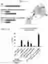 Fig. 12 - Methods and compositions for directed genome editing